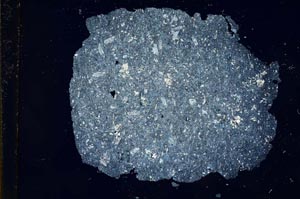 Cross Polarized, S13168