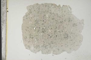 Plane Polarized, S13168