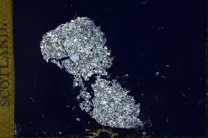 Cross Polarized, S13171