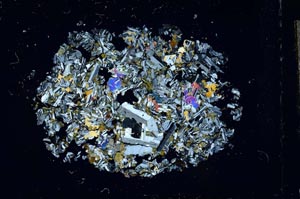 Cross Polarized, S13176