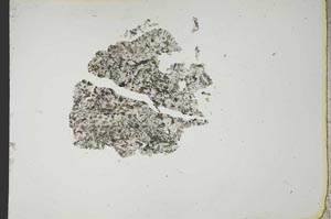 Plane Polarized, S13177