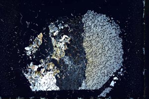 Cross Polarized, S13179