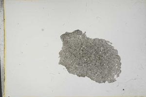 Plane Polarized, S13182