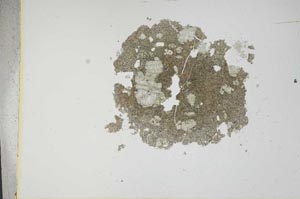 Plane Polarized, S13198