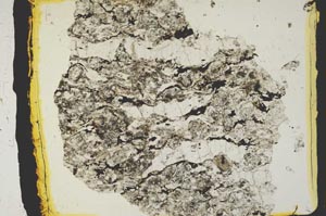 Plane Polarized, S2822