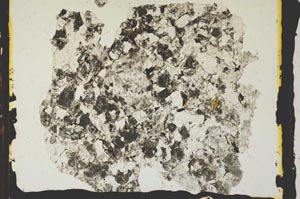 Plane Polarized, S2823