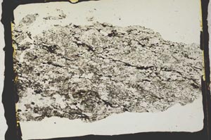 Plane Polarized, S2829