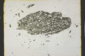 Plane Polarized, S2831