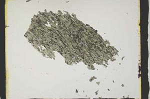 Plane Polarized, S2832