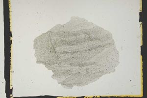 Plane Polarized, S2834