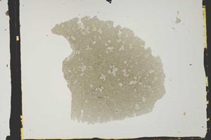 Plane Polarized, S2840