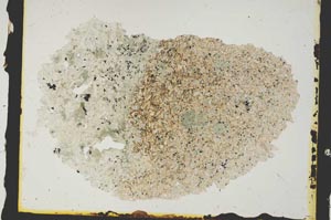 Plane Polarized, S2841