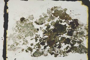 Plane Polarized, S2858