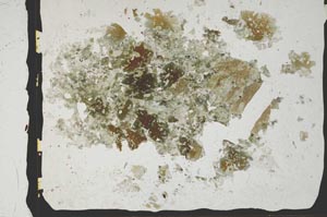Plane Polarized, S2861