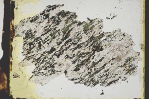 Plane Polarized, S2865
