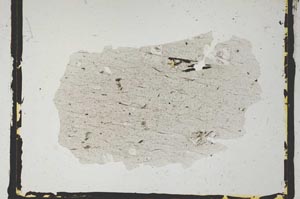 Plane Polarized, S2867