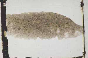 Plane Polarized, S2877