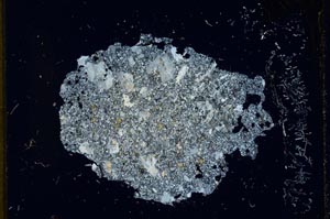 Cross Polarized, S2877/b