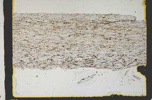 Plane Polarized, S2916