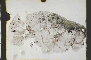 Plane Polarized, S2957