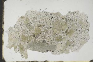 Plane Polarized, S2971
