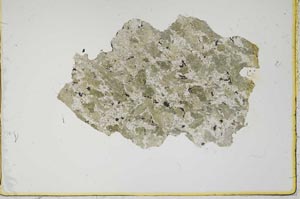 Plane Polarized, S2972