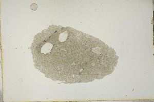 Plane Polarized, S13204