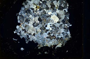 Cross Polarized, S13232