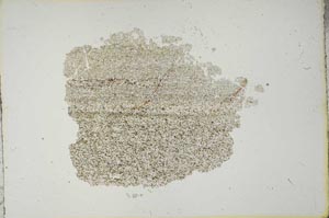 Plane Polarized, S13255