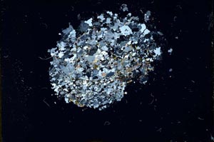 Cross Polarized, S13256