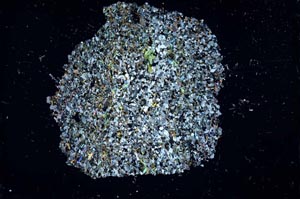 Cross Polarized, S13257