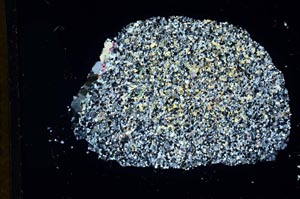 Cross Polarized, S13259