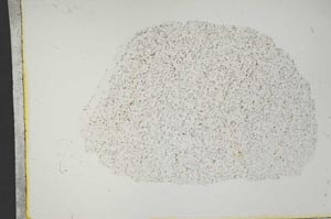 Plane Polarized, S13259