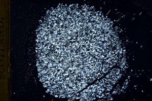 Cross Polarized, S13263