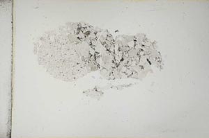 Plane Polarized, S13264