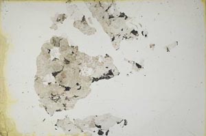 Plane Polarized, S13266