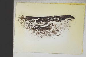 Plane Polarized, S13269