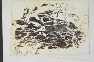 Plane Polarized, S13272