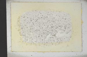 Plane Polarized, S13273