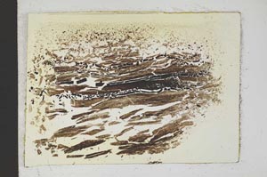 Plane Polarized, S13275