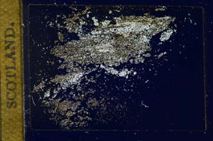 Cross Polarized, S13276