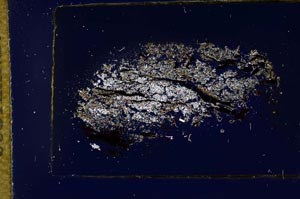 Cross Polarized, S13277