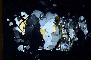 Cross Polarized, S13293