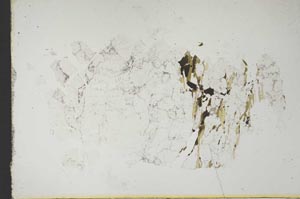 Plane Polarized, S13293