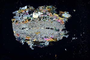 Cross Polarized, S13294