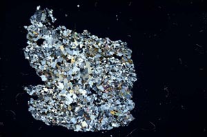 Cross Polarized, S13296