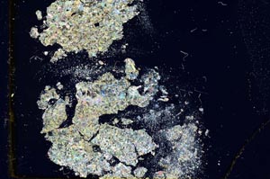 Cross Polarized, S13297