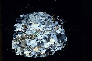 Cross Polarized, S13298