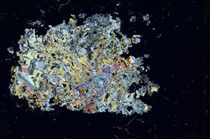 Cross Polarized, S13299