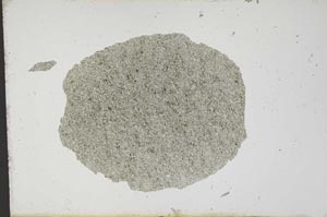 Plane Polarized, S13307
